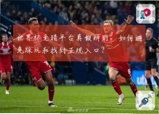 世界杯竞猜入口可靠吗？如何辨别真假