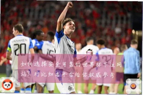 世界杯怎么买足球才安全？线下线上渠道对比